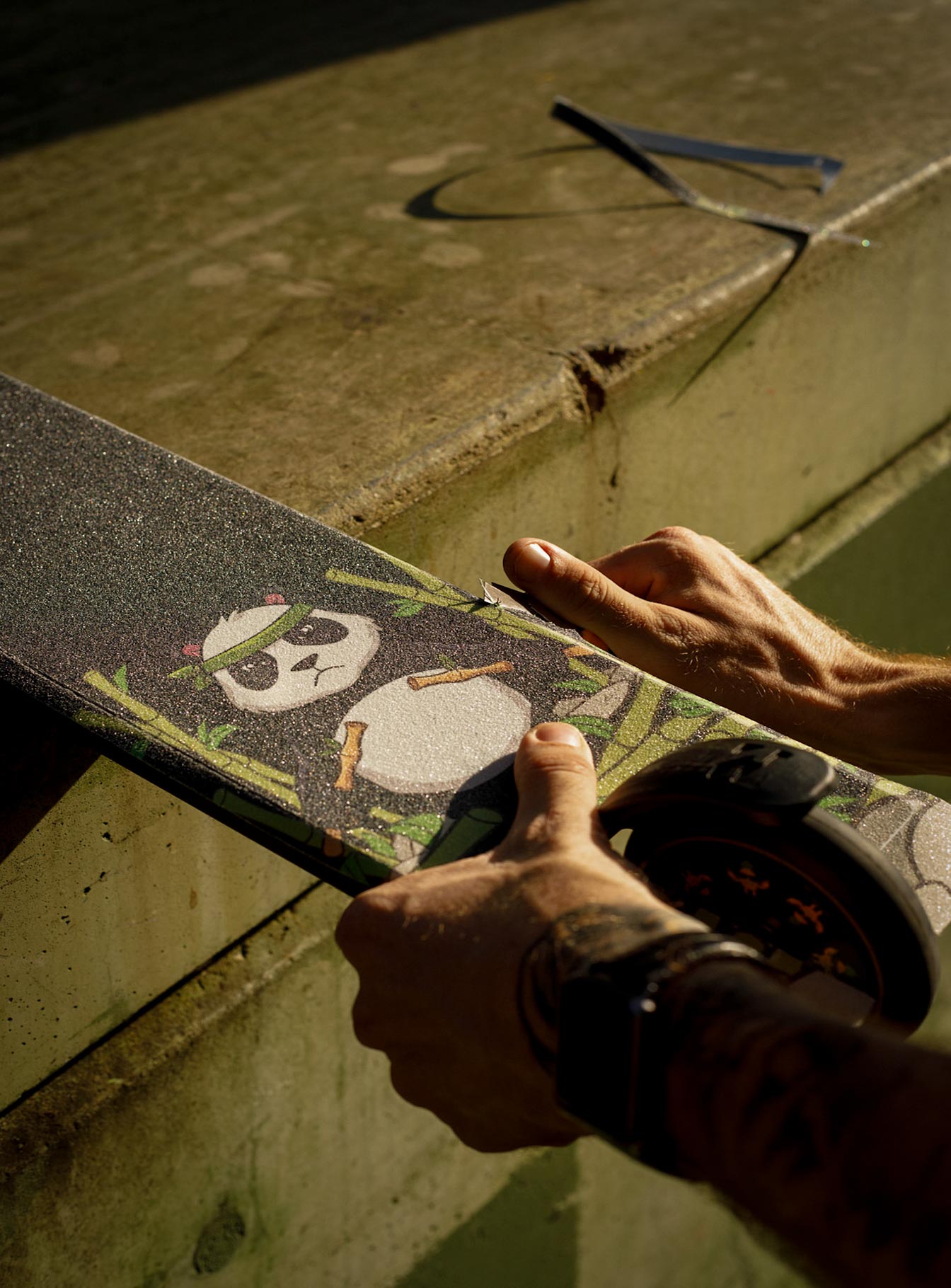 Panda | Griptape 6 Panda | Griptape 6